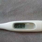 ヒメ日記 2026/03/27 14:57 投稿 カナコ(奥方) 奥様幕府