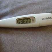 ヒメ日記 2026/03/28 14:37 投稿 カナコ(奥方) 奥様幕府