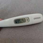 ヒメ日記 2026/03/29 13:27 投稿 カナコ(奥方) 奥様幕府