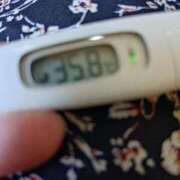 ヒメ日記 2026/03/30 14:47 投稿 カナコ(奥方) 奥様幕府