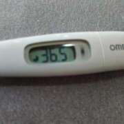 ヒメ日記 2026/03/31 13:57 投稿 カナコ(奥方) 奥様幕府