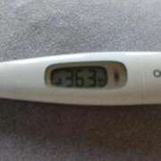 ヒメ日記 2026/04/01 12:57 投稿 カナコ(奥方) 奥様幕府