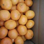 ヒメ日記 2024/12/25 00:57 投稿 リョウ(大奥) 奥様幕府