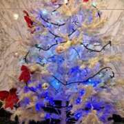 ヒメ日記 2024/12/25 02:57 投稿 リョウ(大奥) 奥様幕府