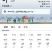 ヒメ日記 2025/02/05 08:17 投稿 リョウ(大奥) 奥様幕府