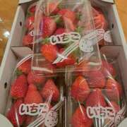 ヒメ日記 2025/03/03 12:50 投稿 リョウ(大奥) 奥様幕府