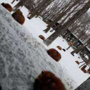 ヒメ日記 2025/03/22 02:07 投稿 リョウ(大奥) 奥様幕府