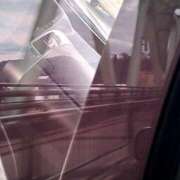 ヒメ日記 2025/03/31 11:17 投稿 リョウ(大奥) 奥様幕府