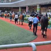 ヒメ日記 2025/04/20 14:27 投稿 リョウ(大奥) 奥様幕府