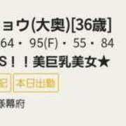 ヒメ日記 2025/05/19 13:47 投稿 リョウ(大奥) 奥様幕府