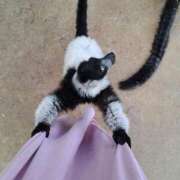 ヒメ日記 2025/06/03 23:17 投稿 リョウ(大奥) 奥様幕府