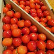 ヒメ日記 2025/06/11 19:47 投稿 リョウ(大奥) 奥様幕府