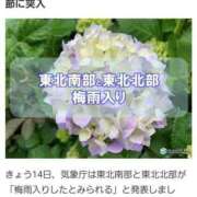 ヒメ日記 2025/06/14 17:19 投稿 リョウ(大奥) 奥様幕府