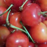 ヒメ日記 2025/06/24 00:37 投稿 リョウ(大奥) 奥様幕府