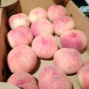 ヒメ日記 2025/07/31 22:37 投稿 リョウ(大奥) 奥様幕府