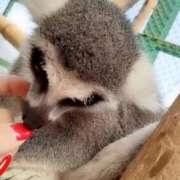 ヒメ日記 2025/11/04 21:27 投稿 リョウ(大奥) 奥様幕府