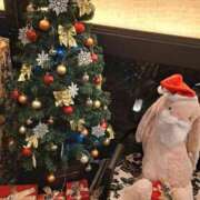 ヒメ日記 2025/11/20 21:07 投稿 リョウ(大奥) 奥様幕府