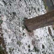 ヒメ日記 2025/12/12 07:37 投稿 リョウ(大奥) 奥様幕府