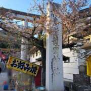 ヒメ日記 2026/04/11 18:07 投稿 リョウ(大奥) 奥様幕府