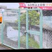 ヒメ日記 2026/06/09 12:21 投稿 リョウ(大奥) 奥様幕府
