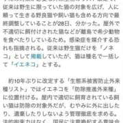 ヒメ日記 2026/07/01 00:32 投稿 リョウ(大奥) 奥様幕府