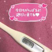 ヒメ日記 2024/07/01 12:47 投稿 マシロ(奥方） 奥様幕府