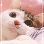 ヒメ日記 2024/12/23 11:51 投稿 カンナ(奥方) 奥様幕府