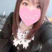 ヒメ日記 2025/01/11 05:13 投稿 ミナミ(奥方) 奥様幕府