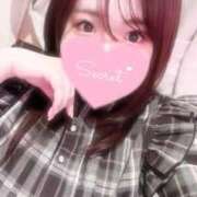 ヒメ日記 2025/01/19 20:17 投稿 ミナミ(奥方) 奥様幕府