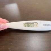 ヒメ日記 2025/02/27 14:57 投稿 ミナミ(奥方) 奥様幕府