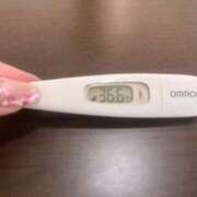 ヒメ日記 2025/02/28 15:38 投稿 ミナミ(奥方) 奥様幕府