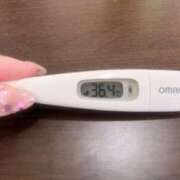 ヒメ日記 2025/03/03 12:47 投稿 ミナミ(奥方) 奥様幕府