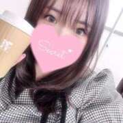 ヒメ日記 2025/03/03 15:58 投稿 ミナミ(奥方) 奥様幕府