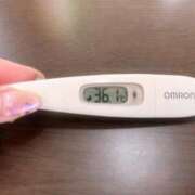 ヒメ日記 2025/03/04 13:27 投稿 ミナミ(奥方) 奥様幕府