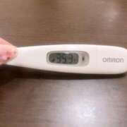 ヒメ日記 2025/03/06 12:47 投稿 ミナミ(奥方) 奥様幕府