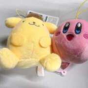 ヒメ日記 2025/03/09 03:48 投稿 ミナミ(奥方) 奥様幕府