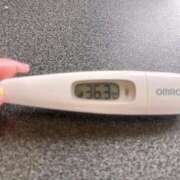 ヒメ日記 2025/04/08 13:37 投稿 ミナミ(奥方) 奥様幕府