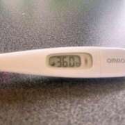 ヒメ日記 2025/04/10 13:57 投稿 ミナミ(奥方) 奥様幕府