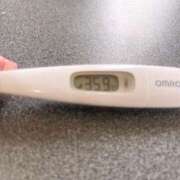 ヒメ日記 2025/04/12 13:37 投稿 ミナミ(奥方) 奥様幕府