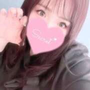 ヒメ日記 2025/04/16 02:37 投稿 ミナミ(奥方) 奥様幕府