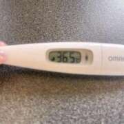 ヒメ日記 2025/04/19 12:27 投稿 ミナミ(奥方) 奥様幕府