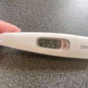 ヒメ日記 2025/04/20 11:57 投稿 ミナミ(奥方) 奥様幕府