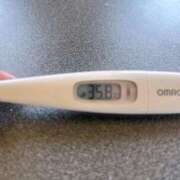 ヒメ日記 2025/04/27 13:07 投稿 ミナミ(奥方) 奥様幕府