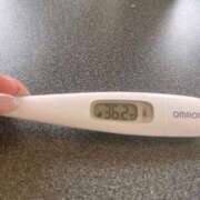 ヒメ日記 2025/04/28 13:47 投稿 ミナミ(奥方) 奥様幕府