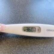 ヒメ日記 2025/04/30 12:08 投稿 ミナミ(奥方) 奥様幕府