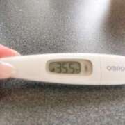 ヒメ日記 2025/05/06 12:52 投稿 ミナミ(奥方) 奥様幕府