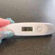 ヒメ日記 2025/05/25 13:57 投稿 ミナミ(奥方) 奥様幕府