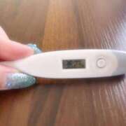 ヒメ日記 2025/05/29 13:27 投稿 ミナミ(奥方) 奥様幕府