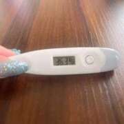 ヒメ日記 2025/05/30 12:57 投稿 ミナミ(奥方) 奥様幕府