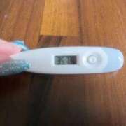 ヒメ日記 2025/06/01 11:07 投稿 ミナミ(奥方) 奥様幕府